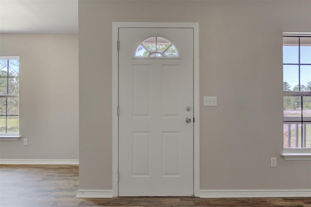 entrance foyer featuring wood-type flooring