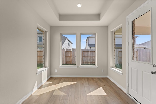 spare room featuring a healthy amount of sunlight, a raised ceiling, and light hardwood / wood-style flooring