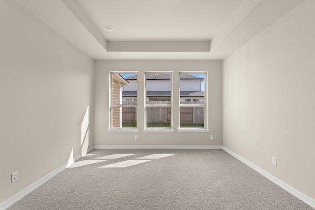 spare room with light carpet and a raised ceiling