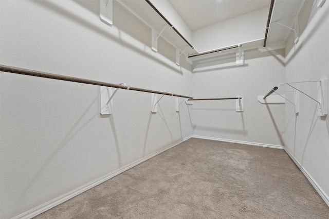 spacious closet featuring carpet