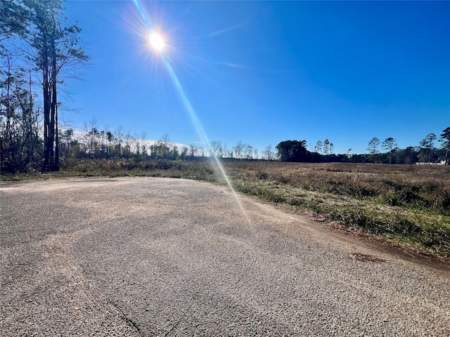 000000 Ladybug Ct, Porter Heights, TX 77365 - photo 5