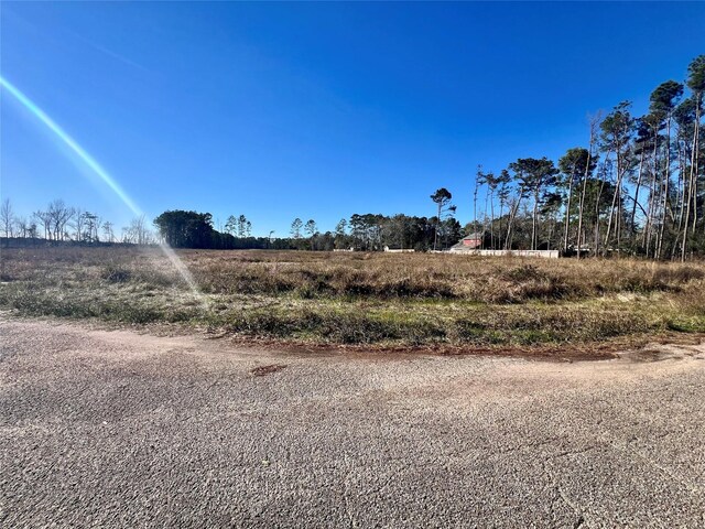 000000 Ladybug Ct, Porter Heights, TX 77365 - photo 4