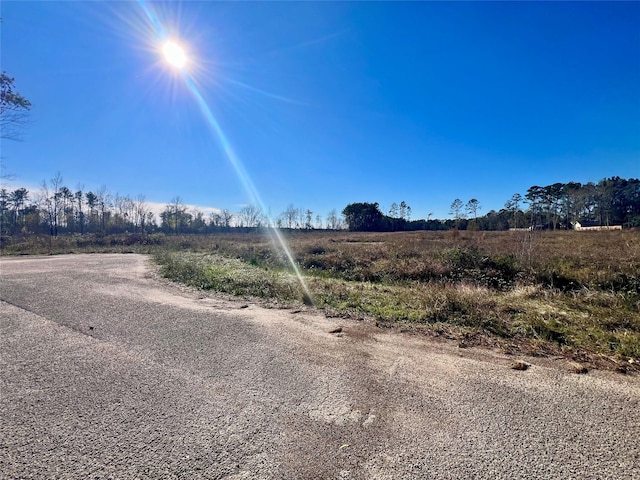 000000 Ladybug Ct, Porter Heights, TX 77365 - photo 6