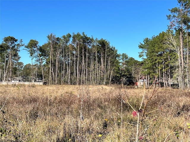 000000 Ladybug Ct, Porter Heights, TX 77365 - photo 10