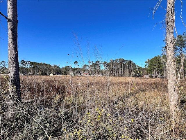 000000 Ladybug Ct, Porter Heights, TX 77365 - photo 11