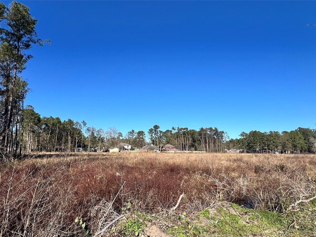 000000 Ladybug Ct, Porter Heights, TX 77365 - photo 13