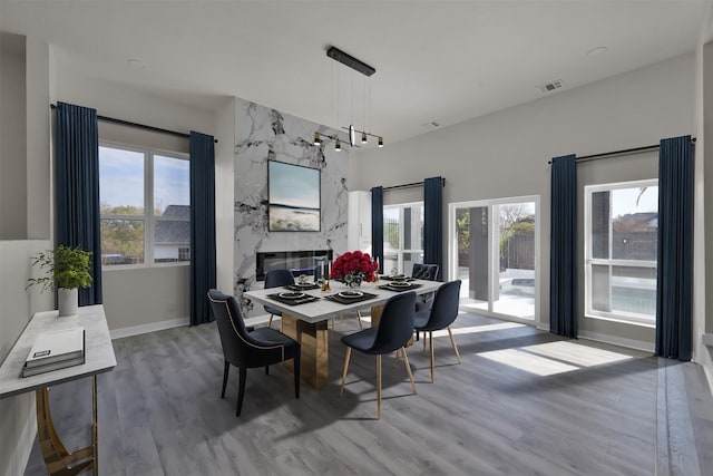 dining room featuring hardwood / wood-style floors, plenty of natural light, and a premium fireplace