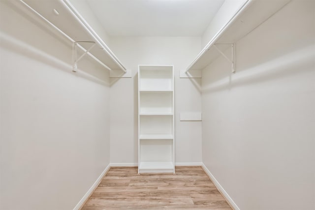 spacious closet with light wood-type flooring