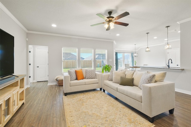 living room with hardwood / wood-style flooring, ceiling fan, and crown molding