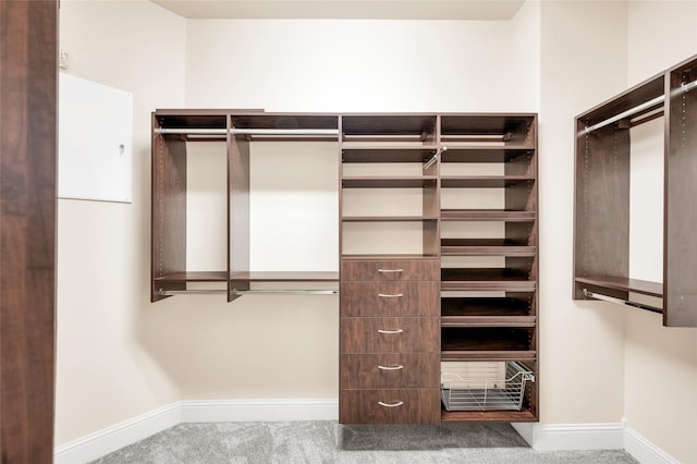 spacious closet with carpet floors