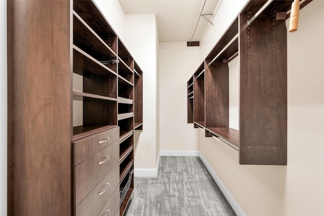 spacious closet with carpet