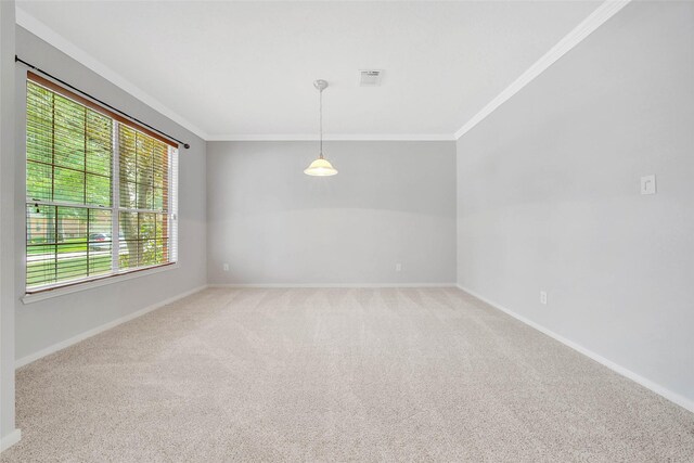 spare room featuring carpet floors and crown molding