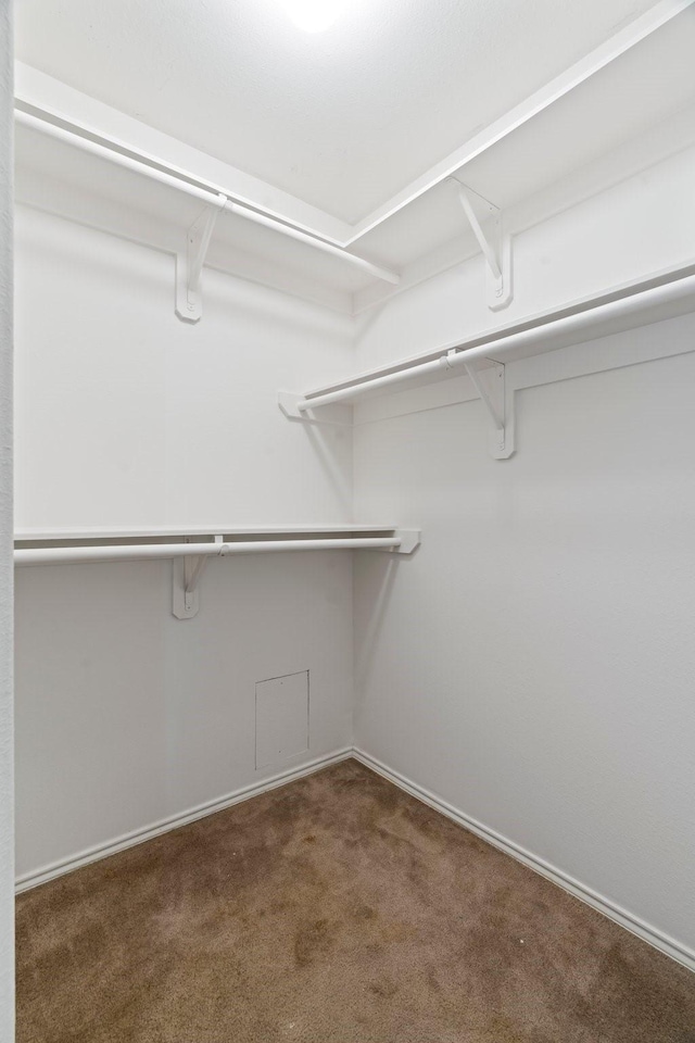 spacious closet with carpet floors