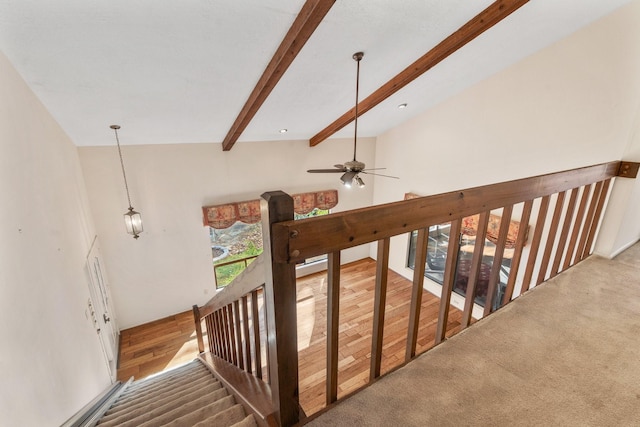 staircase featuring carpet flooring, ceiling fan, and lofted ceiling with beams