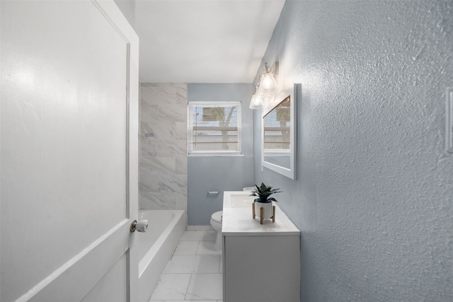 bathroom with toilet and vanity