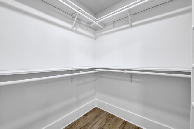 walk in closet featuring wood-type flooring