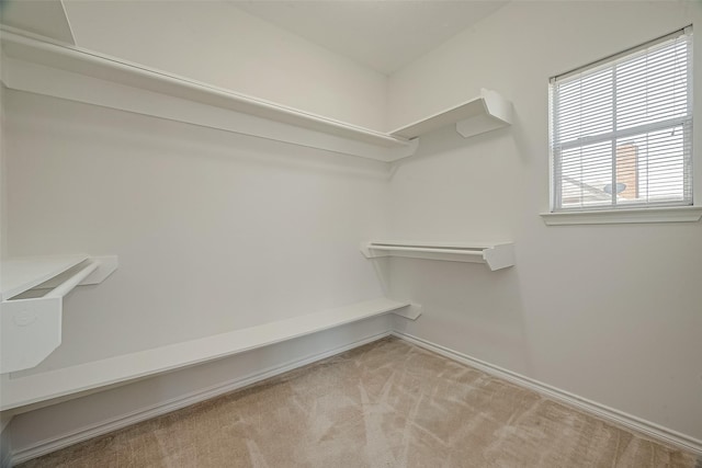 spacious closet featuring light carpet