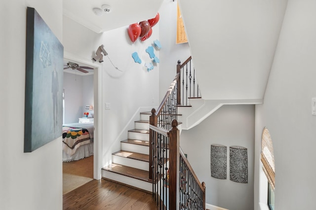 stairway featuring hardwood / wood-style floors and ceiling fan