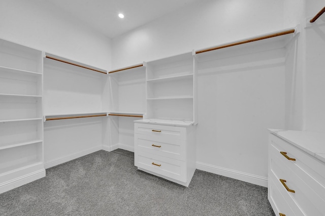 spacious closet featuring carpet