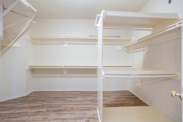 spacious closet with wood-type flooring