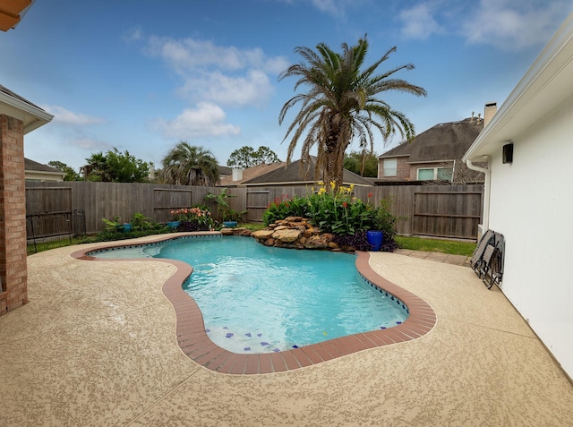 view of pool with a patio area