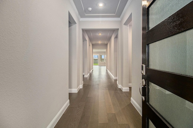 hallway featuring crown molding and dark hardwood / wood-style flooring