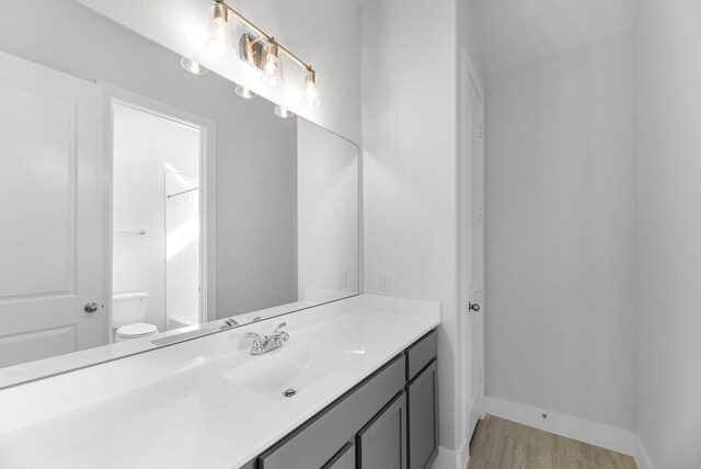 bathroom with hardwood / wood-style flooring, vanity, and toilet