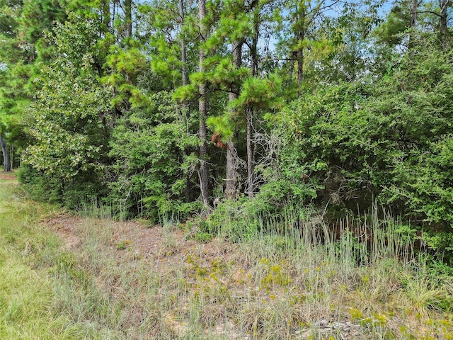 Listing photo 3 for TBD Sugar Hill Rd, Livingston TX 77351