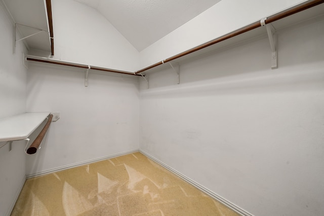 spacious closet featuring carpet and vaulted ceiling