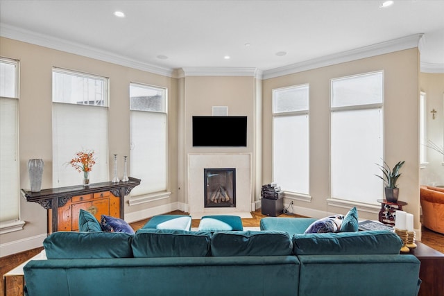 living room with wood-type flooring, a healthy amount of sunlight, crown molding, and a premium fireplace