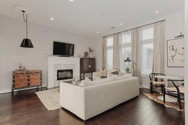 living room featuring a fireplace and dark hardwood / wood-style floors