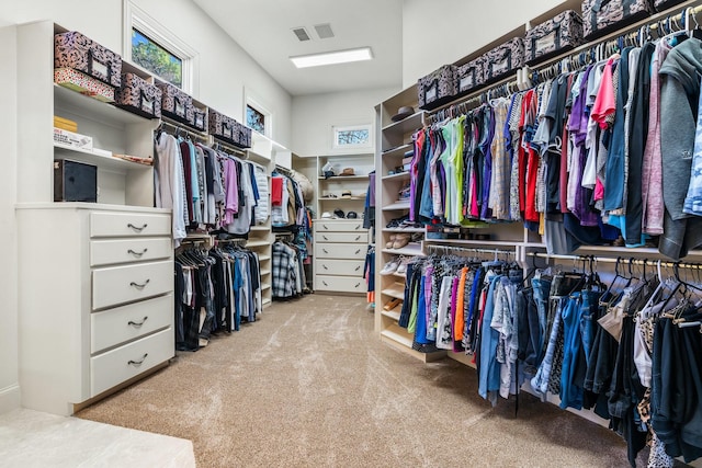 spacious closet featuring light colored carpet