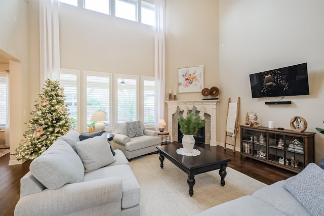 living room featuring a fireplace, hardwood / wood-style floors, and a towering ceiling