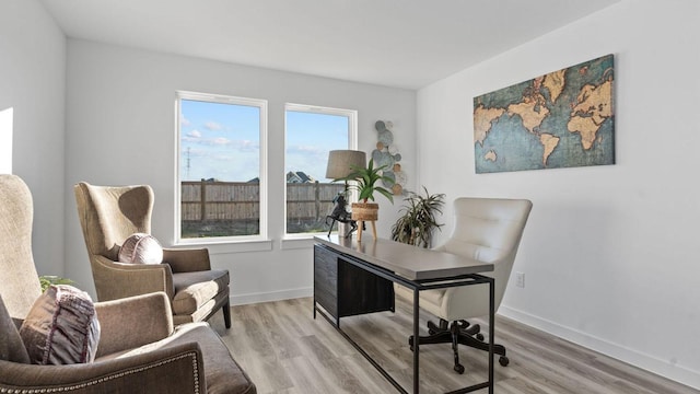 home office featuring light hardwood / wood-style flooring