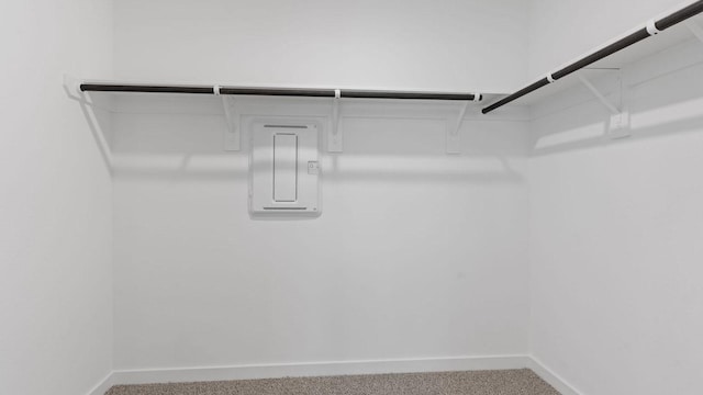 walk in closet with carpet flooring