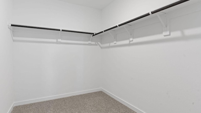 spacious closet featuring carpet flooring