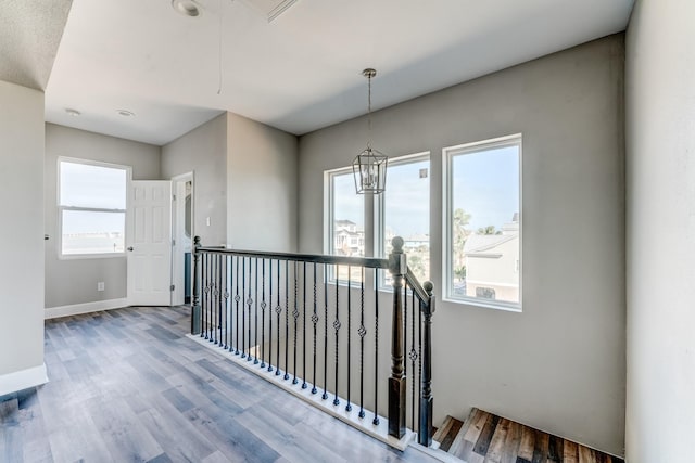 hall with hardwood / wood-style flooring, an inviting chandelier, and a healthy amount of sunlight