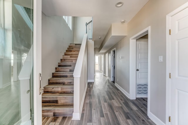 staircase featuring hardwood / wood-style flooring and a wealth of natural light