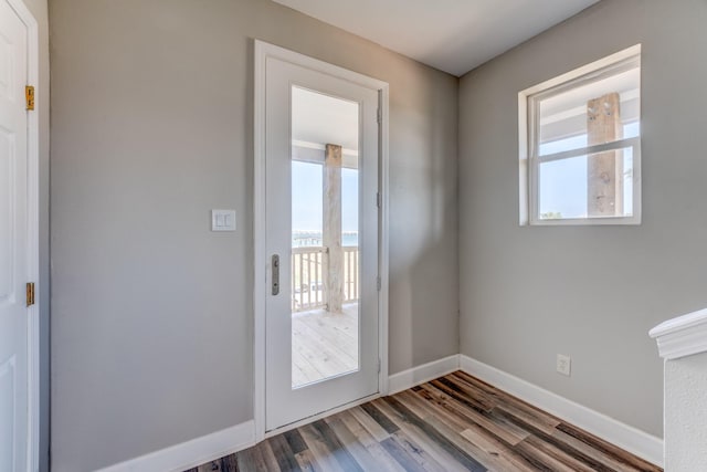 entryway featuring a healthy amount of sunlight and wood-type flooring