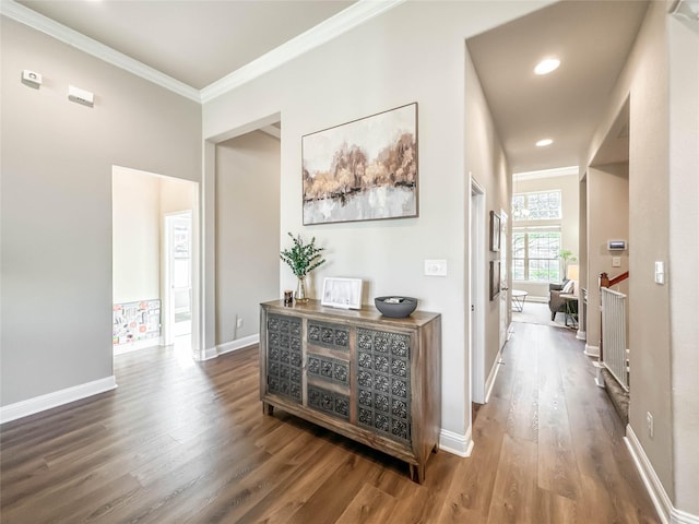 corridor with dark wood-type flooring and crown molding