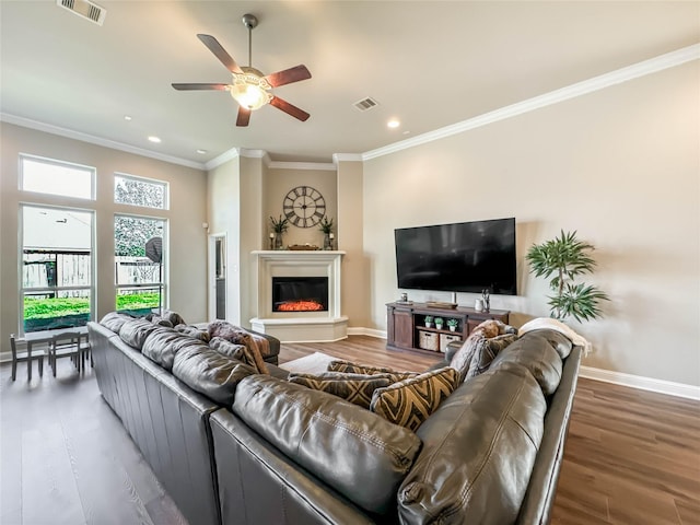 living room featuring ceiling fan, ornamental molding, and dark wood-type flooring