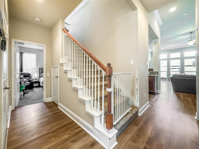 staircase featuring hardwood / wood-style flooring and ceiling fan