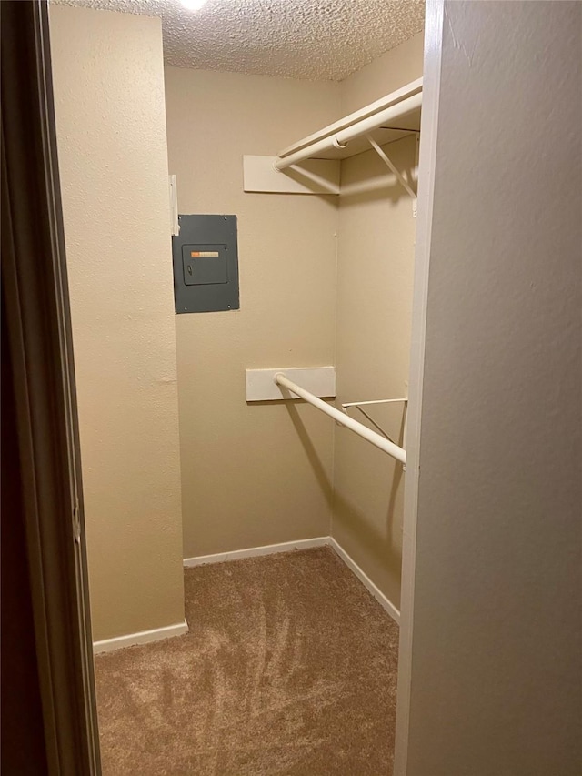 walk in closet featuring electric panel and carpet