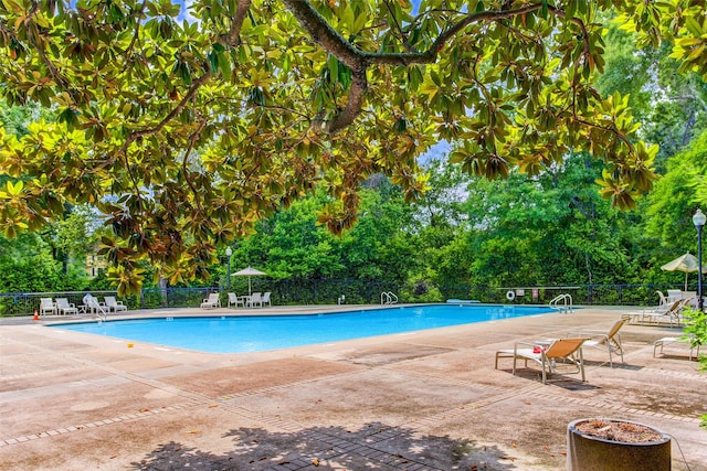 view of swimming pool featuring a patio