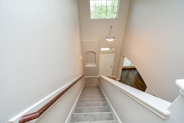 staircase with carpet