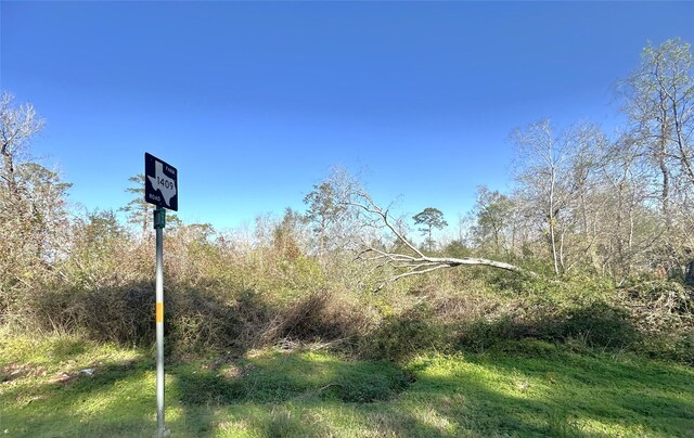 10821 Fm 1409, Dayton, TX 77535 - photo 5