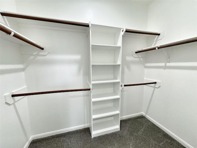 walk in closet featuring dark colored carpet