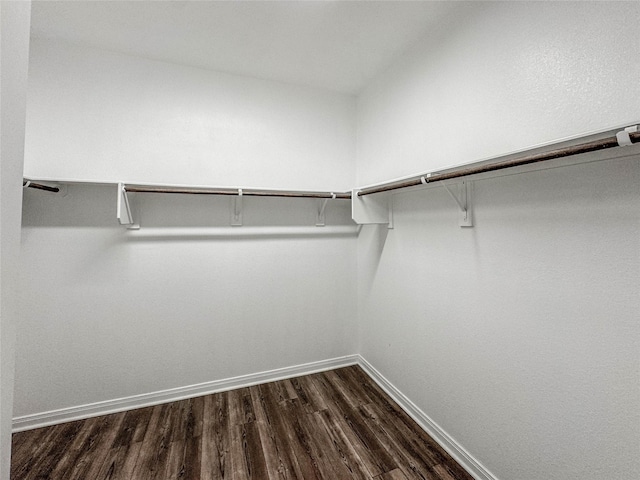 walk in closet with dark wood-type flooring