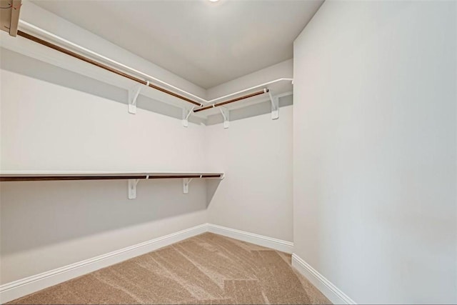 walk in closet with carpet