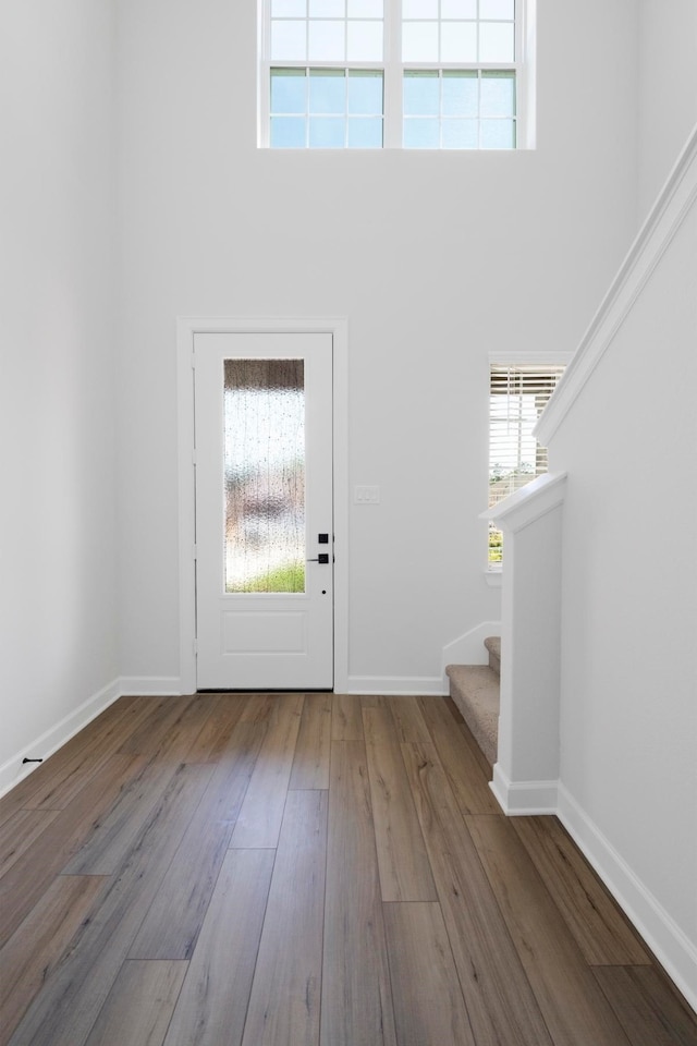 foyer entrance featuring a high ceiling and hardwood / wood-style flooring